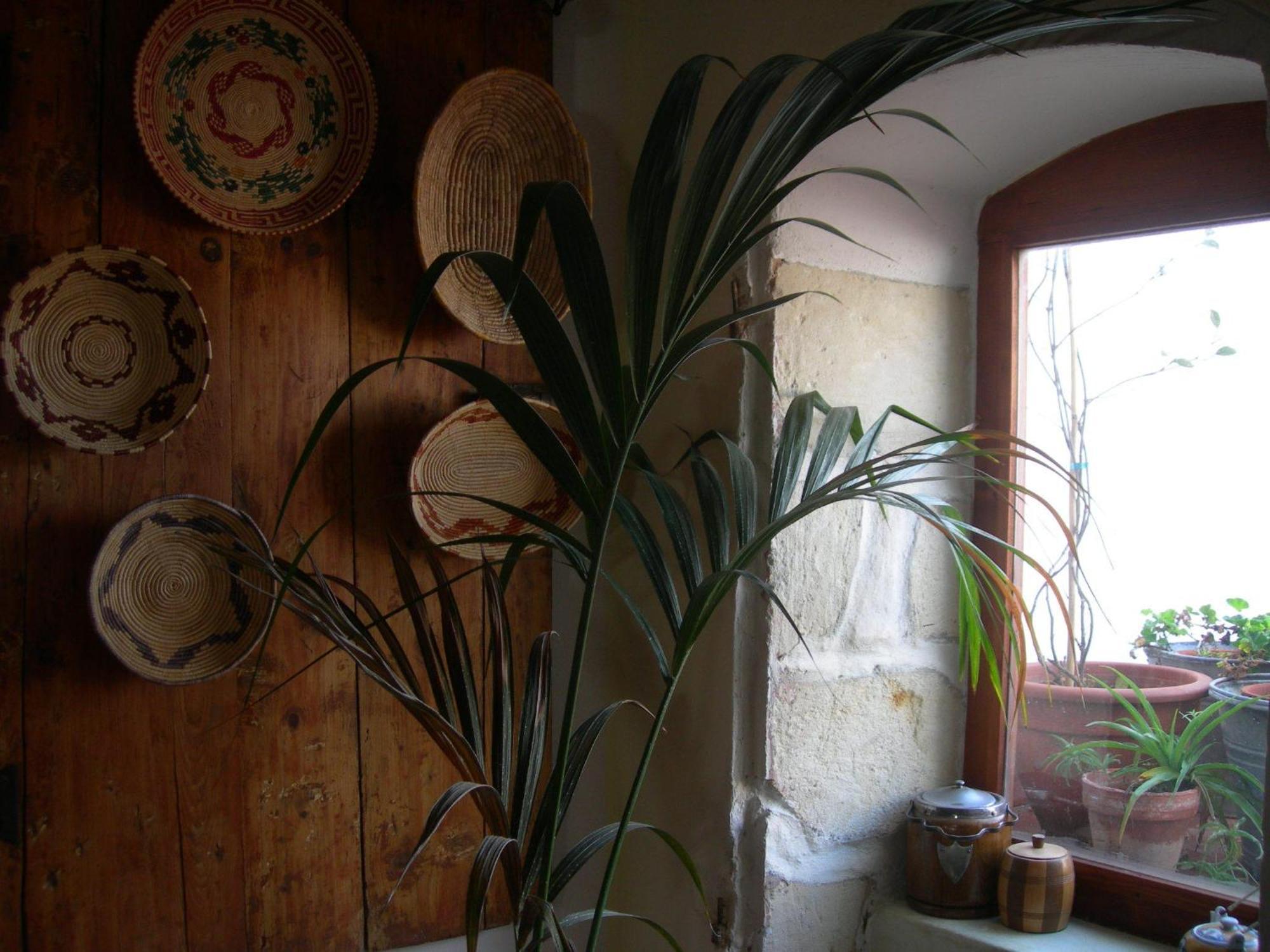 소르소 Piazza San Pantaleo B&B 외부 사진